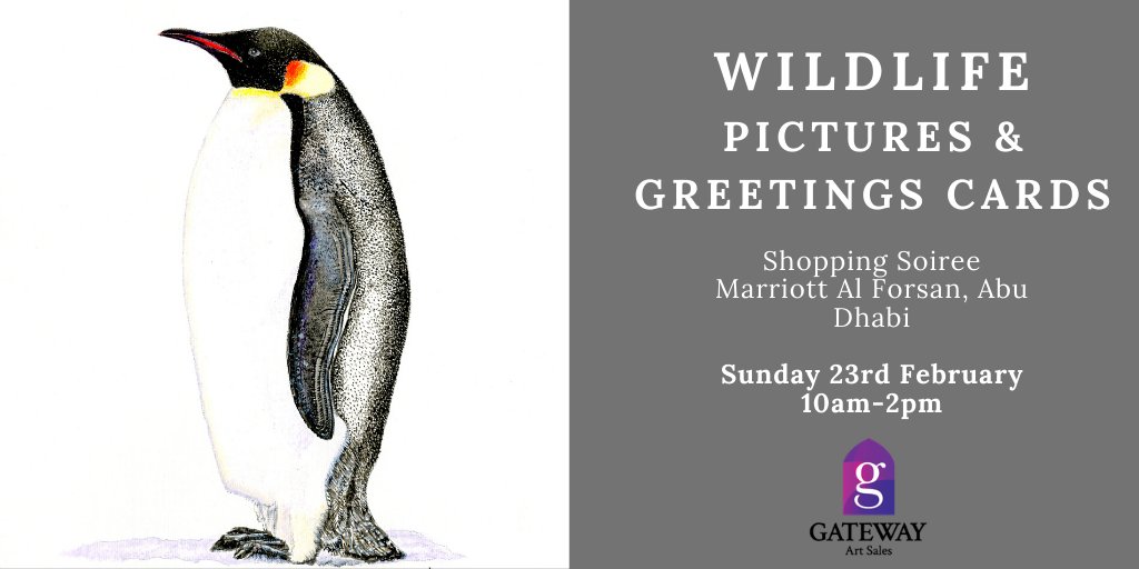 Penguin lovers will adore our mounted prints & greeting cards.

#GatewayArtSales #Pictures #Prints #Art #homedecor #wallart #greetingcards #greetingscards #cards #birthdaycards #wildlife #penguin #animals #shopping #AbuDhabi #InAbuDhabi #abudhabiexpats #abudhabilife #abudhabimums