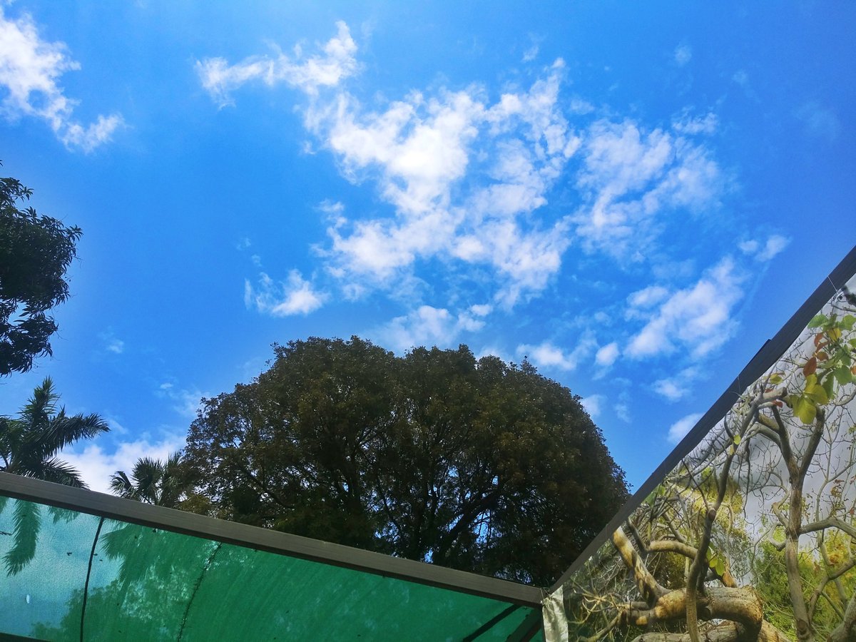 Tino_Pandache's tweet image. Toujou pataje bagay ki sanble nou
#matisan 
#pakleklè
#AndroidPhoto