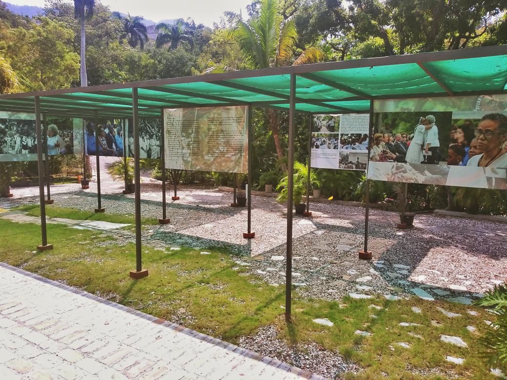 Tino_Pandache's tweet image. Toujou pataje bagay ki sanble nou
#matisan 
#pakleklè
#AndroidPhoto