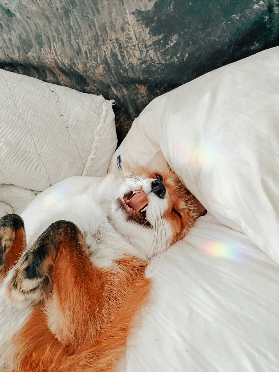 J u n i p e r tweet media