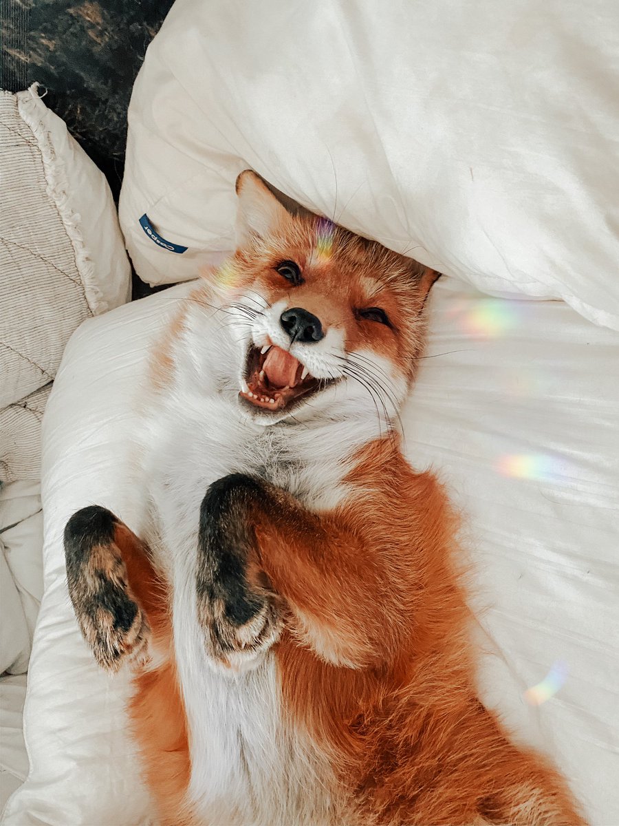 J u n i p e r tweet media