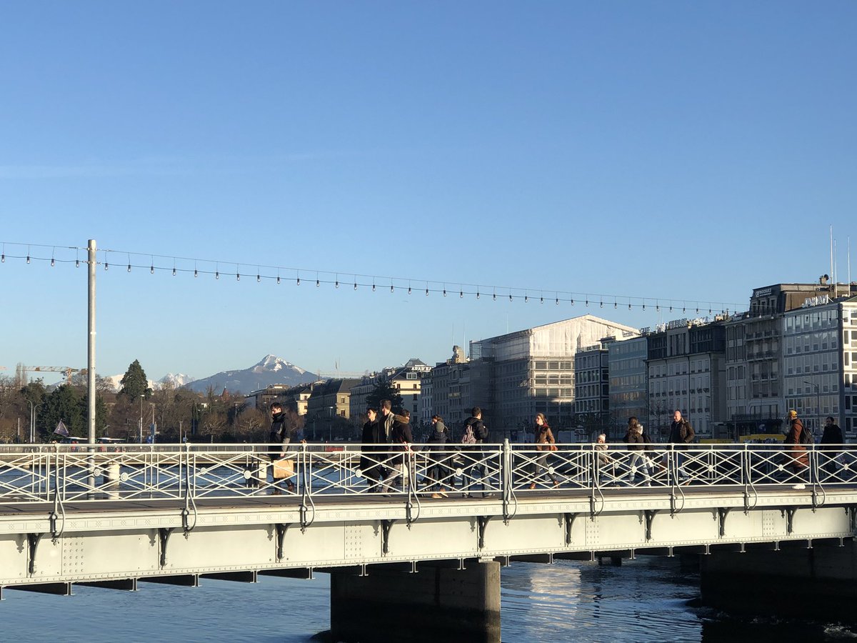 MarianneEjder's tweet image. #SeasonOfSpring #Geneva #Tulips