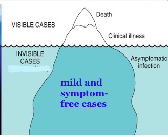 Helen Branswell 🇨🇦 tweet media