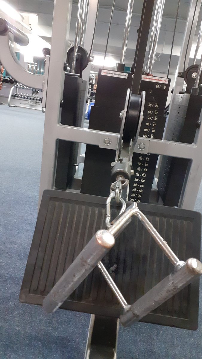 LucaSklenar's tweet photo. Get in the perfect shape in the gym! 💪🇩🇪 @GridironImports https://t.co/u7Sq8XLlno