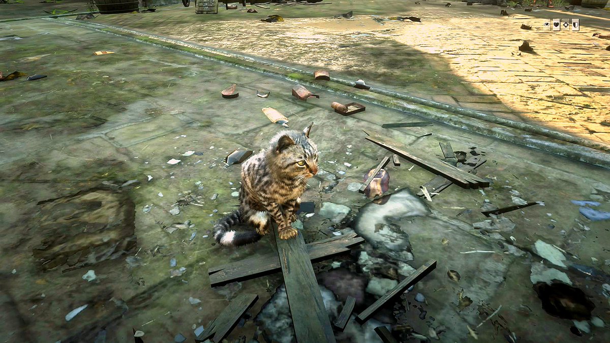 ぁりす Auf Twitter 2月22日は猫の日ですね 早速ネコちゃんと戯れてきました やけにnpcが多い 動物も多い と思ったら セッションに独りぼっちでした 今日も 楽しかった Rdo Rdr2 Rockstargames Reddeadonline Reddeadredemption2 2