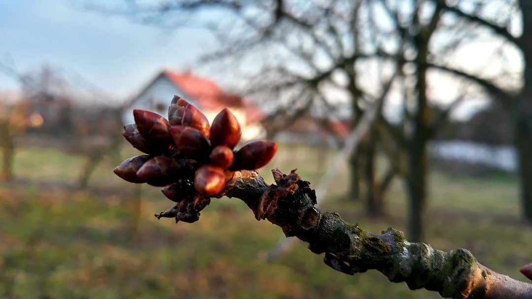 SisterLuiza's tweet photo. Spring 🥰
#soulofchrist
#retreathouse
#Siedlec
#wiosna
#duszajezusa https://t.co/lXrjz9n6oC