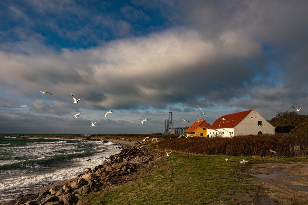 bertbielderman's tweet image. Denmark. Sony A7R mark 2 with Samyang 24mm F2.8 #PhotosOfMyLife #photooftheday #Denmark