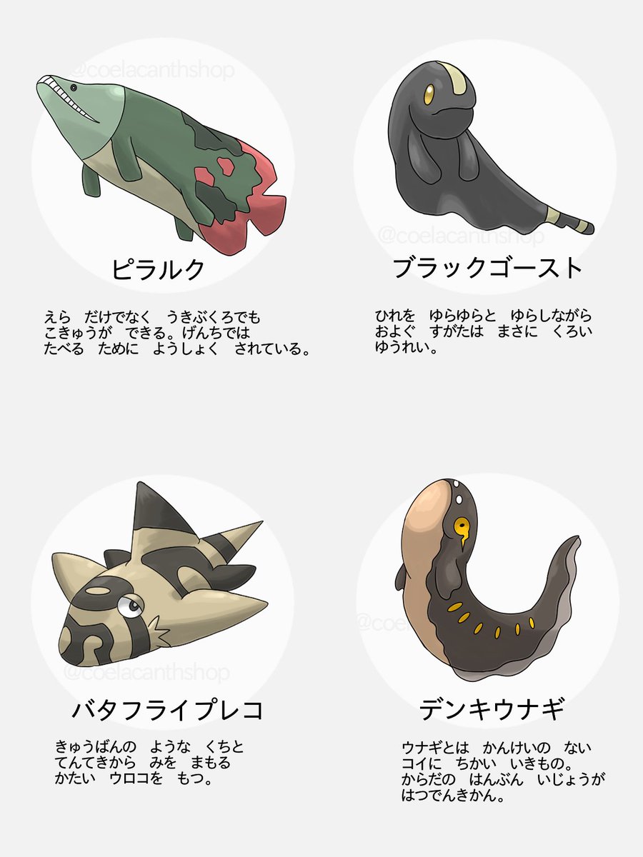 コンセプトはポケットモンスター ナイル/アマゾンだったのに、ナイルでもアマゾンでもないやつを入れてしまったのでいい題名が思いつきません。
#淡水魚 #海外の淡水魚 