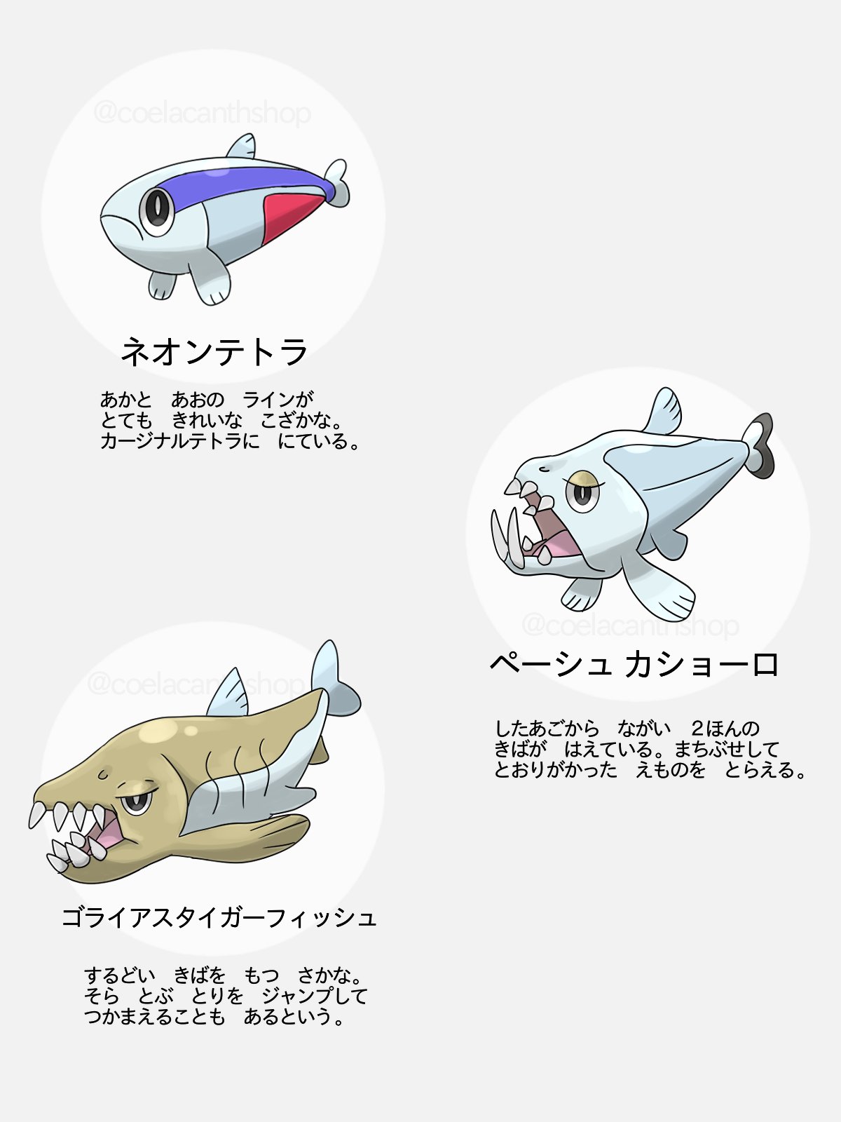 シーラカンス屋さん コンセプトはポケットモンスター ナイル アマゾンだったのに ナイルでもアマゾンでもないやつを入れてしまったのでいい題名が思いつきません 淡水魚 海外の淡水魚 T Co Tbqsvo0dt1 Twitter