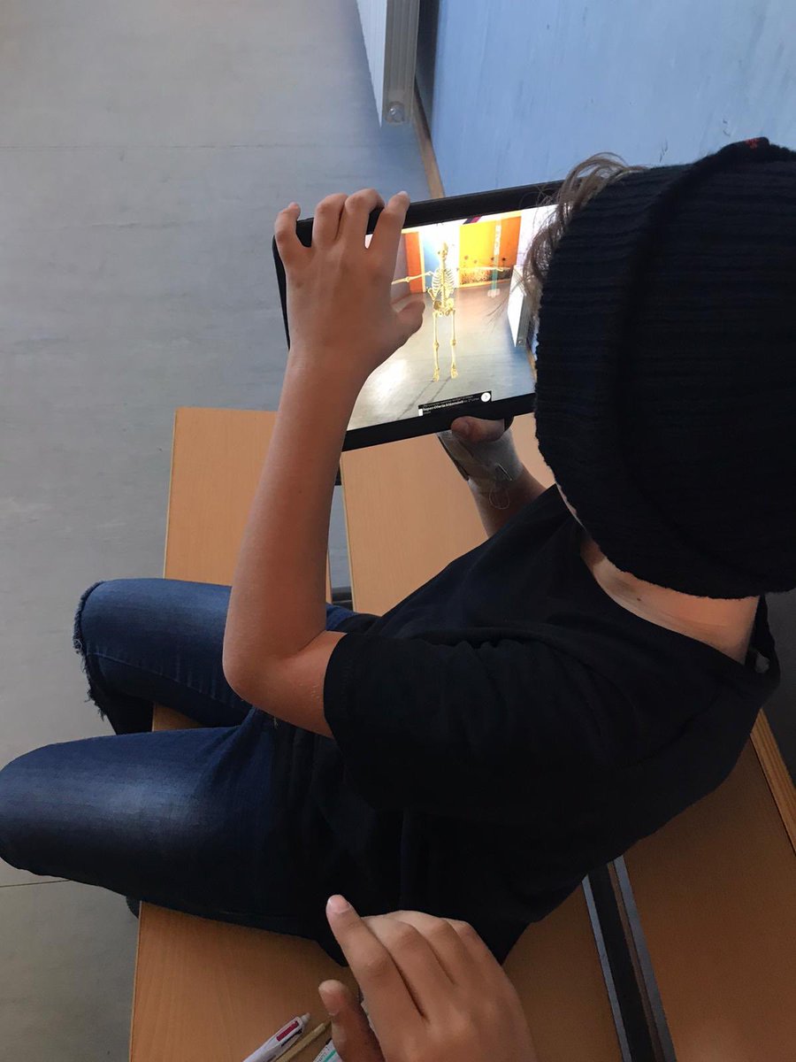 ubeda_irene's tweet photo. Esta semana los alumnos del @ceipCalcutassrr en #6primaria han utilizado la #RealidadAumentada y los #iPad para explorar el esqueleto humano.  #ticprimaria #edutech https://t.co/sz9DWRykuh
