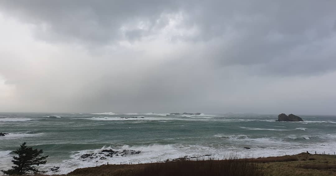 geraldine timlin tweet media