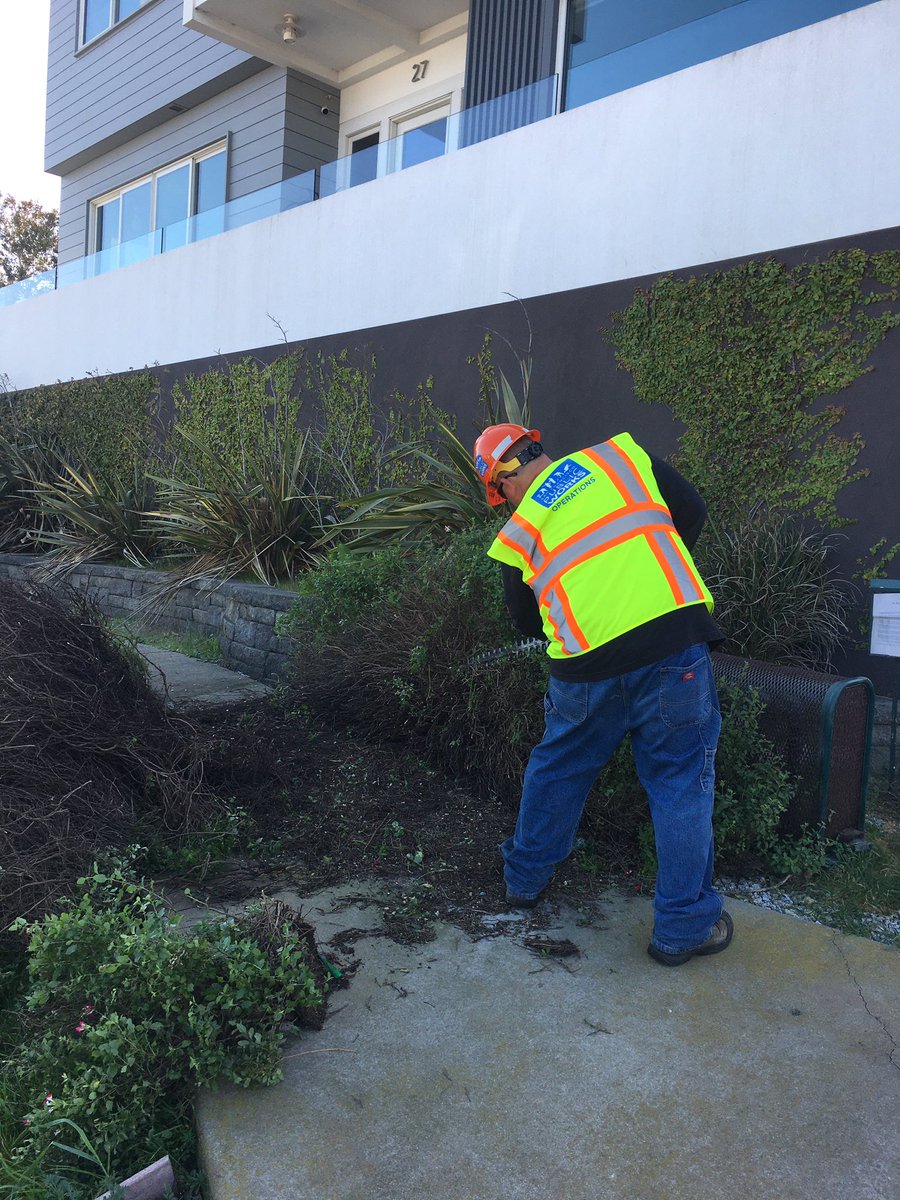 sfpublicworks's tweet photo. With 100+ volunteers and Public Works staff, we are spending this gorgeous Saturday morning picking up litter, trimming hedges, planting trees, weeding and painting over graffiti in the Mission and Bernal Heights.#CommunityCleanTeam #LoveOurCity @sfgov @LondonBreed @HillaryRonen https://t.co/xxTWwpwPsj