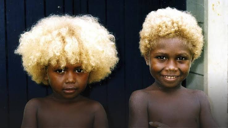vliegtuigen Skalk Afgekeurd Etoniru on Twitter: "Children in #SolomonIsland, #Oceania born with dark  skin and blonde hair. The world's most populated area with black blondes 😍  https://t.co/CGBFGC8rtN" / Twitter
