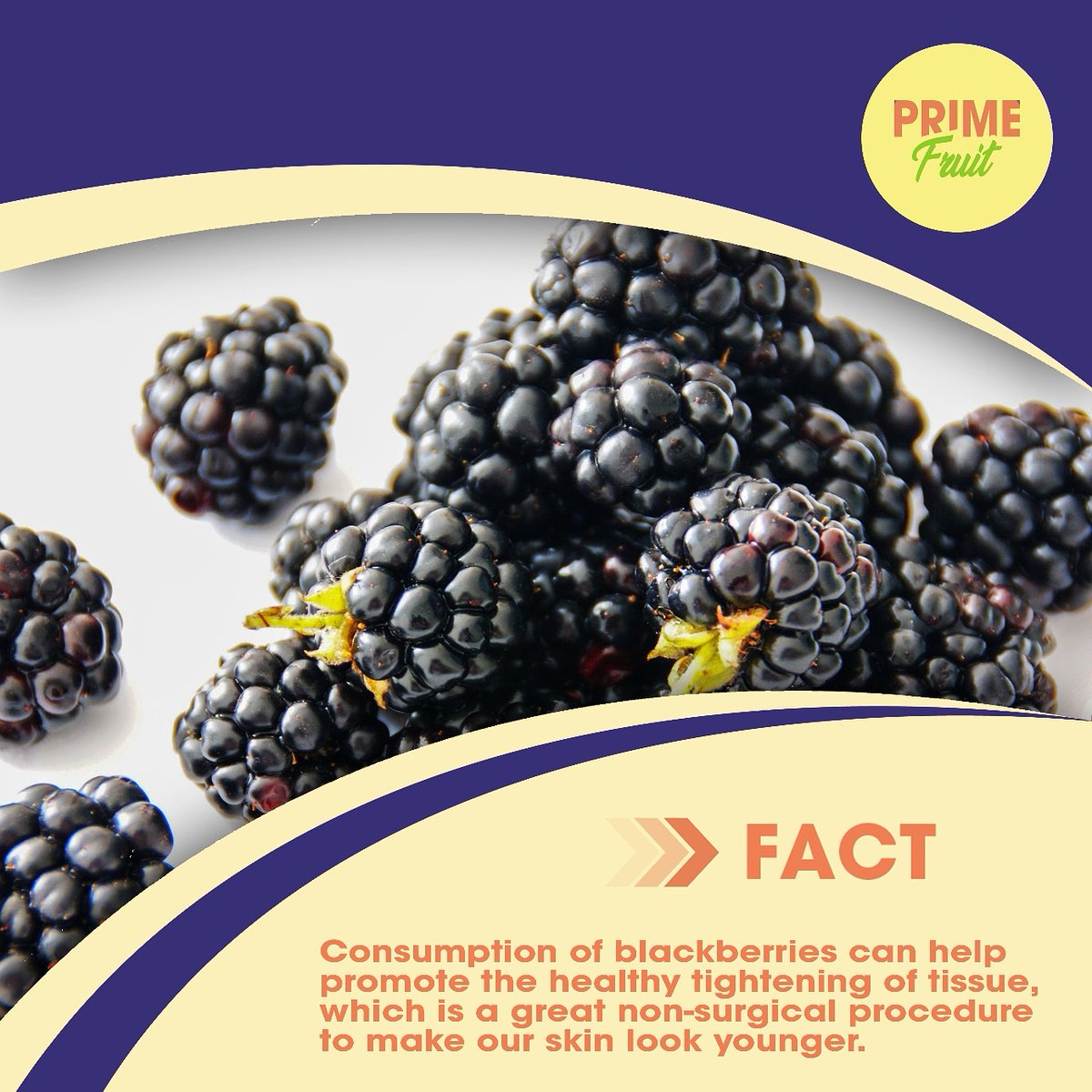 Did you know that the phenolic compounds in blackberries can slow down aging and protect the skin from UVB radiation?

#DubaiFruitDelivery #HealthyOffice #HealthyWorkplace #OfficeFruitDelivery #HomeFruitDelivery #Blackberries #BlackberryBenefits #AntioxidantRich #BlackberryFact