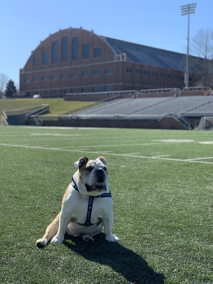 ButlerBlue3's tweet photo. A 50F day in February? I’ll take it! 

#INwx #BulldogWeather #BUtiful #OneLastTrip #GoDawgs https://t.co/QyKGrxDzib