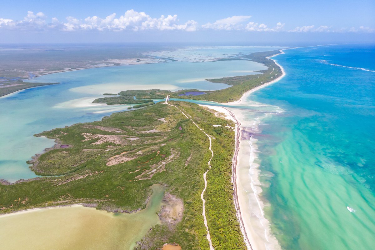 IntGivingFund's tweet image. Join us on an adventure to a beach in need during #DejaVoom. A place as beautiful as this inspires giving back. Learn more at dejavoom.com/adventures/#cl…

📷 @AliveCoverage