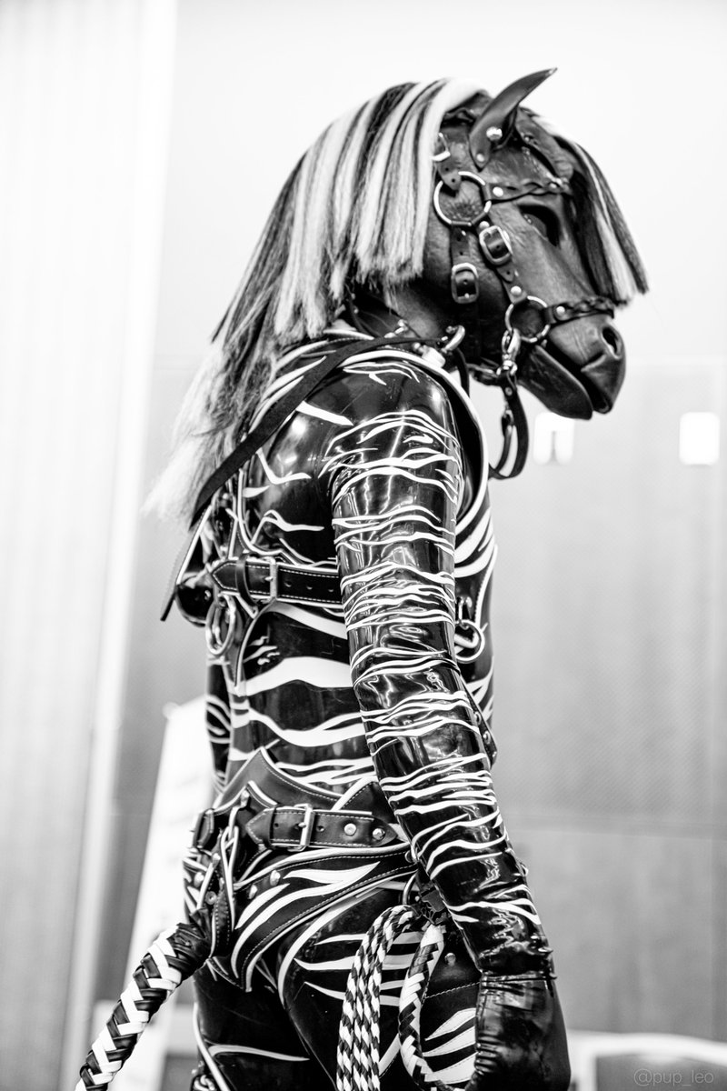 Photo by <a href="/Pup_Leo/">Kory💜Miki💙Razz</a>