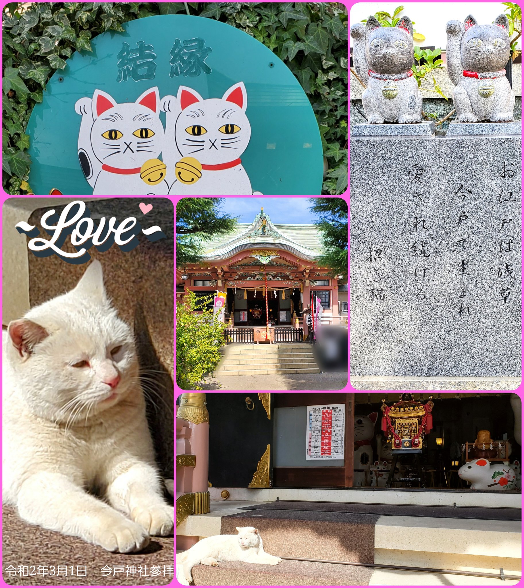ℬ𝓁𝓊ℯ 𝓇ℴ𝓈ℯ ℒ𝒾𝓃ℴ 占い師 Youtuber 私にご縁を頂戴している皆様のご多幸祈願 私の先月のお礼参り 今月は 恋つづ ロケ地 縁結びで有名な今戸神社 なんと 参拝し始めた途端にナミちゃん が ナミちゃんを待ち受けにすると縁結び効果が絶大 ℬ𝓁𝓊ℯ 𝓇ℴ𝓈ℯ ℒ𝒾𝓃ℴ 占い師 Youtuber 私にご縁を頂戴している皆様のご多幸祈願 私の先月のお礼参り 今月は 恋つづ ロケ地 縁結びで有名な今戸神社 なんと 参拝し始めた途端にナミちゃん が ナミちゃんを待ち受けにすると縁結び効果が絶大