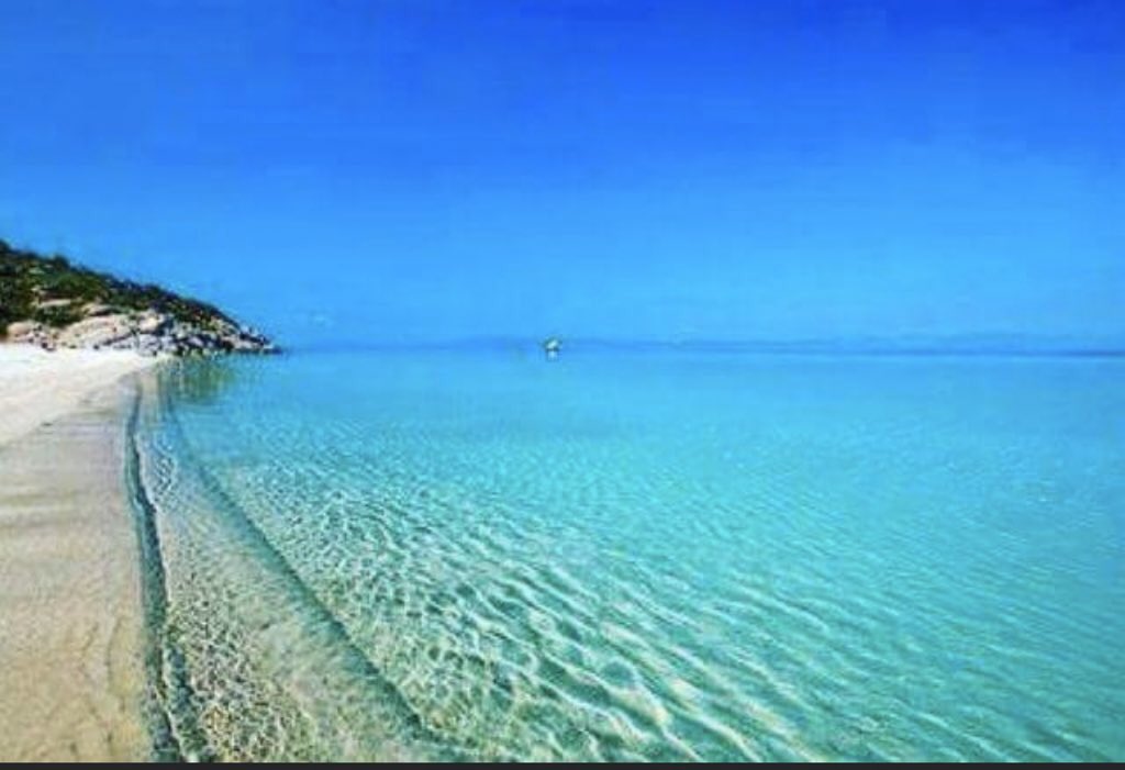 صالح النفيسي tweet media