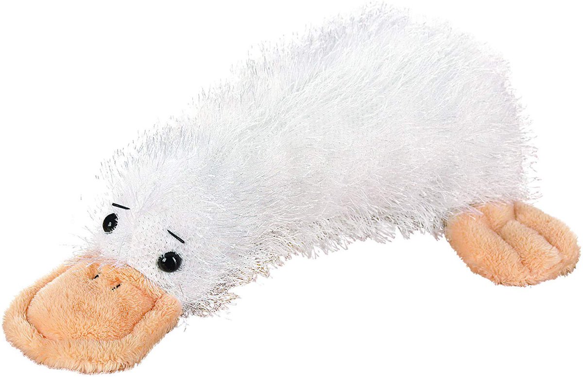 syddinosaur's tweet photo. Personally, I’d like to one day be as quirky as one of these bad boys https://t.co/NDYhbmi4B9