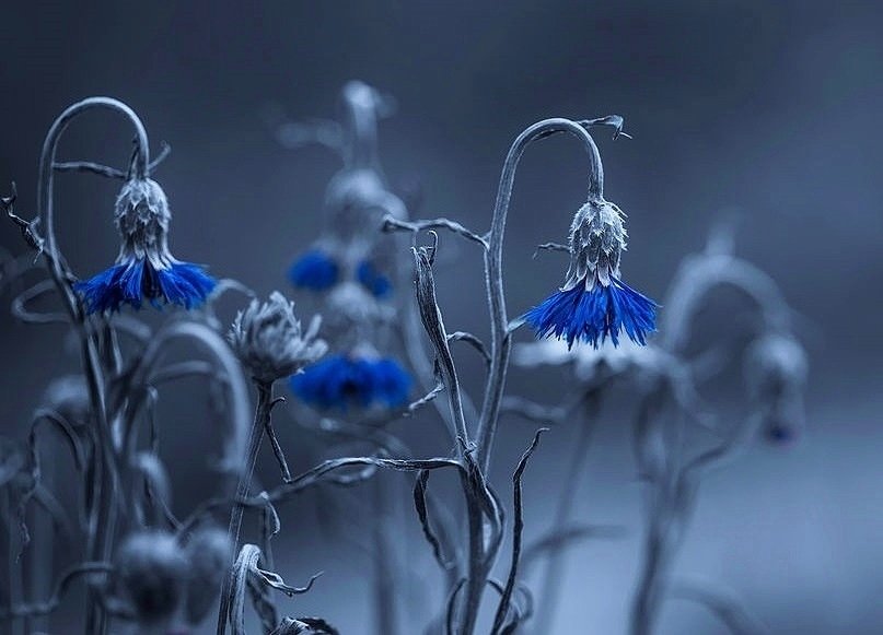 생각을
좋은 것으로 채우고

마음을
선한것으로 채우고

영혼을
고귀한 것으로 채우고

자신을
사랑스러운 것으로 채우면

삶은 자연스레
행복하지 질 수밖에 없다.