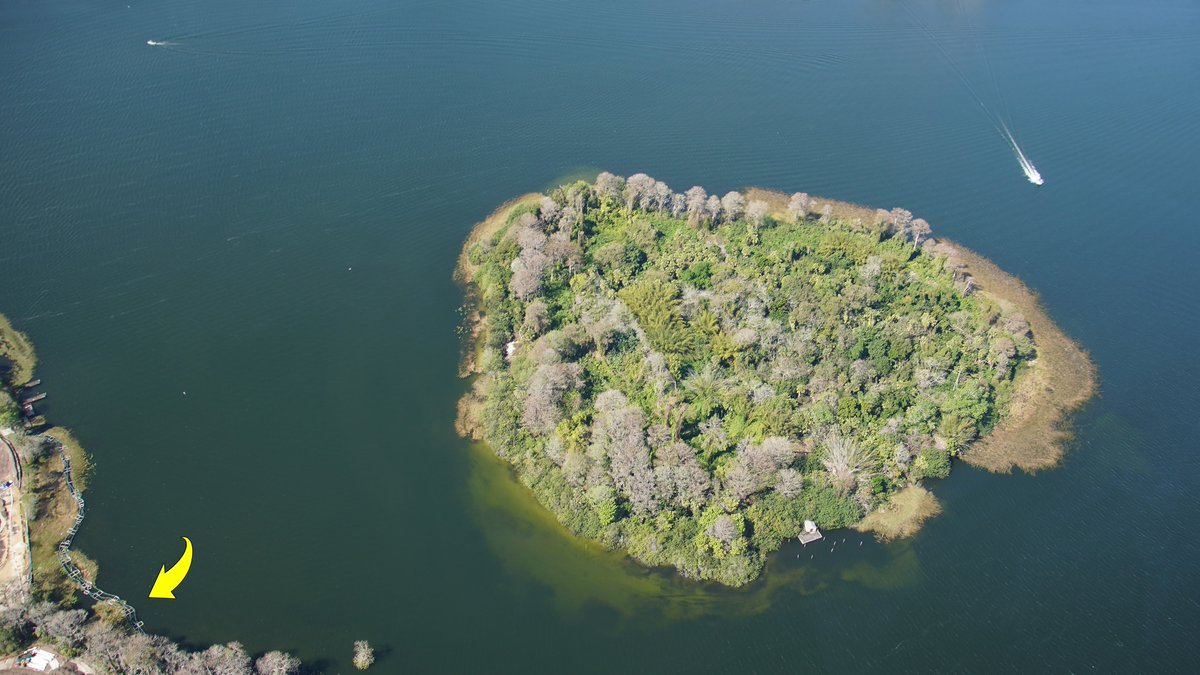 Bioreconstruct On Twitter Aerial View Of Discovery Island In Bay