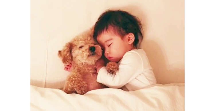 Peco ペコ 編集部 くっついてスヤスヤ眠るワンコと赤ちゃん 春のような穏やかな寝顔に 心から癒やされる 31秒 T Co Ea8iylh9zw