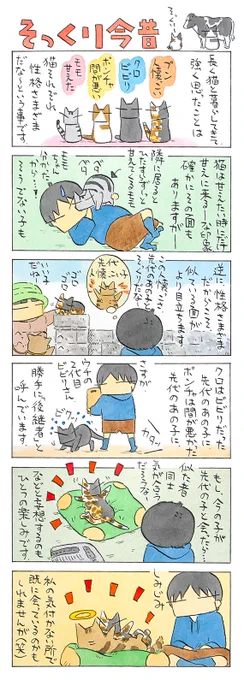 「あの子とこの子」

血の繋がりも無ければ、
会った事も無い先代と今の子。
あの子の面影を垣間見る。
(久保智昭さんの「猫色スケッチブック」)他一枚更新しています。

⇒(https://t.co/m80bZYgz4x) 