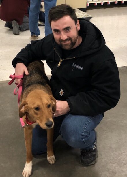 SouthsideSPCA's tweet photo. Busy adoption day!  #matchmakers https://t.co/tNa7NcCw3D