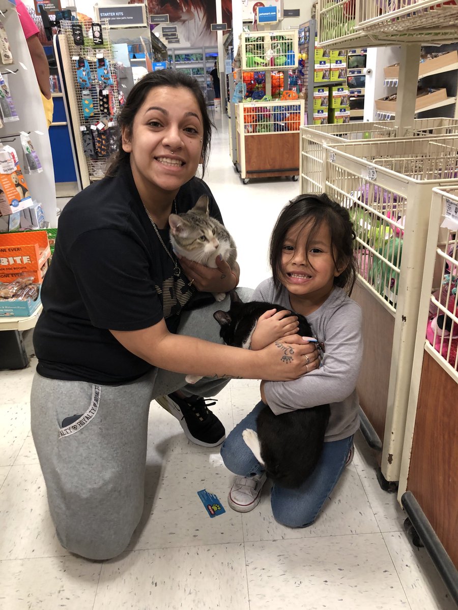 PetSmart 290/Tidwell tweet media