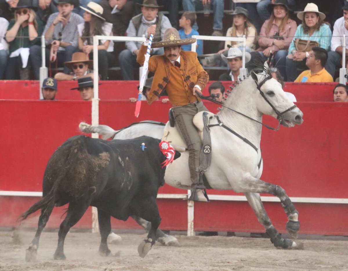 ProTauro_'s tweet photo. Emiliano Gamero | 5to. Festejo Taurino Ecuestre 
Oreja con otro buen toro de Zacatepec https://t.co/O75LgYnvdf