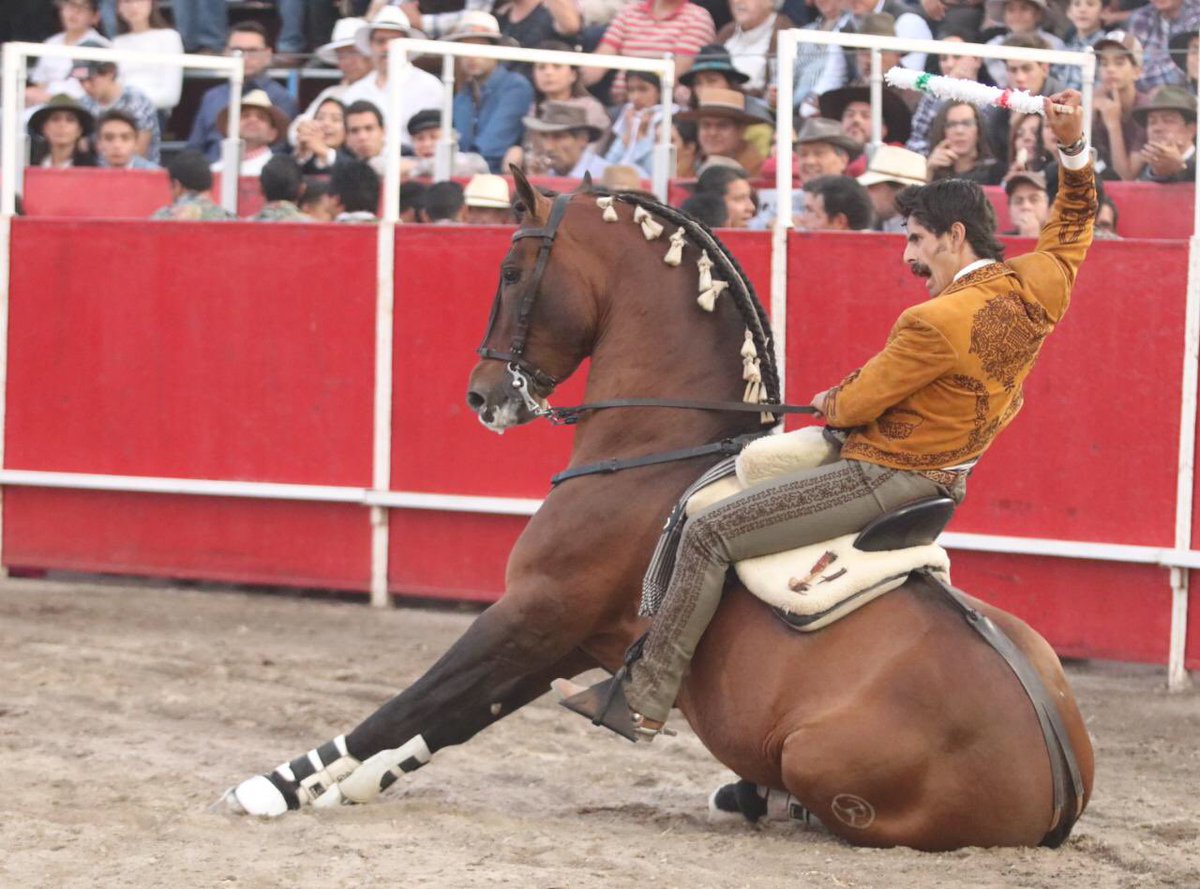 Emiliano Gamero | 5to. Festejo Taurino Ecuestre 
Oreja con otro buen toro de Zacatepec