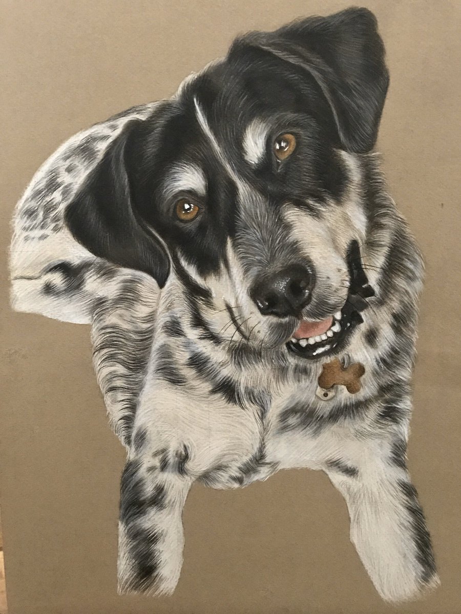 theraviosart's tweet photo. Every now and then my customers send me photos of their pets next to their portraits 🐶✍🏼 

Look at how photogenic this dog is 😍😭 https://t.co/m3hQg5luId