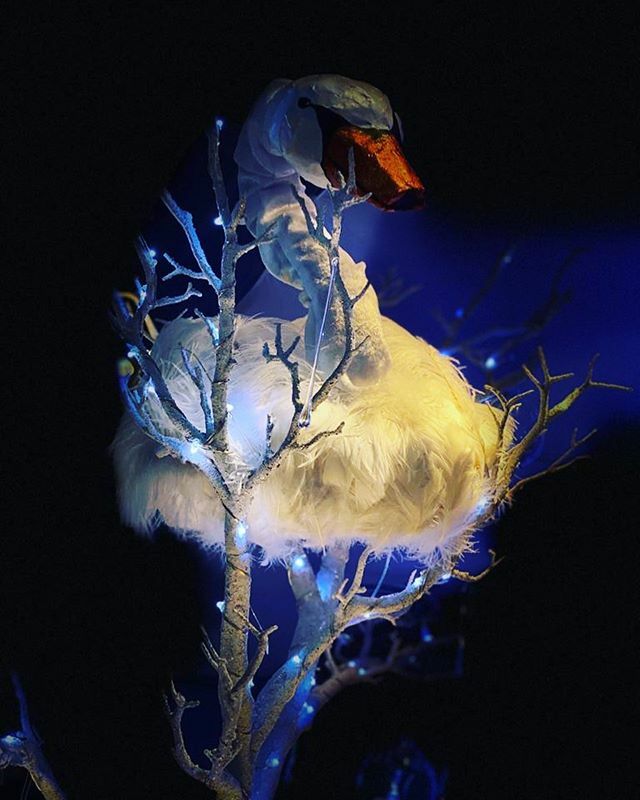 joysgsy's tweet photo. Wow, what a fantastic two nights for the Snowfall Charity Ball! More photos &amp; video to follow! #snowfallball #snowfallgsy #snowfallguernsey #Events
.
.
.
#guernsey #guernseyevents #eventproduction #eventprofs #liveevents #eventlife #eventplanner #techiel… https://t.co/8jkkhzUc7T https://t.co/NhcYfNDoRA