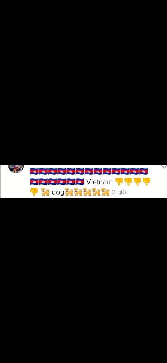 🇻🇳ĐÔNG LÀO🇻🇳 tweet media