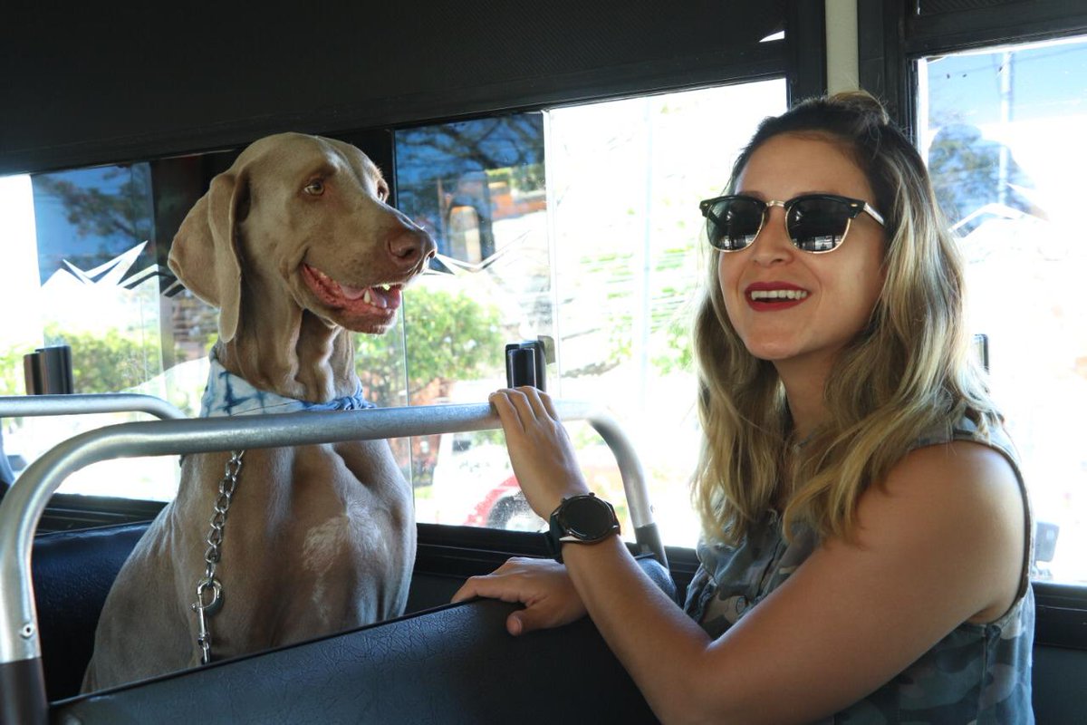 ESATravelSV's tweet photo. ¡Este día se llevó a cabo el primer #TuriPet en Guazapa! Un recorrido divertido y lleno de energía en medio naturaleza.
#LleváTuFindeAfuera #PerriTurismo
🐶🌳 https://t.co/gjARqpan4b