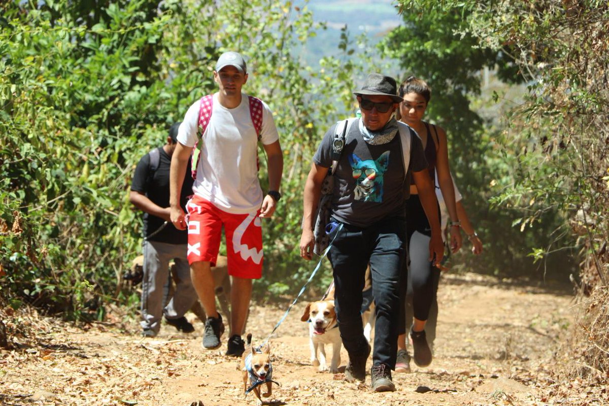 ESATravelSV's tweet photo. ¡Este día se llevó a cabo el primer #TuriPet en Guazapa! Un recorrido divertido y lleno de energía en medio naturaleza.
#LleváTuFindeAfuera #PerriTurismo
🐶🌳 https://t.co/gjARqpan4b