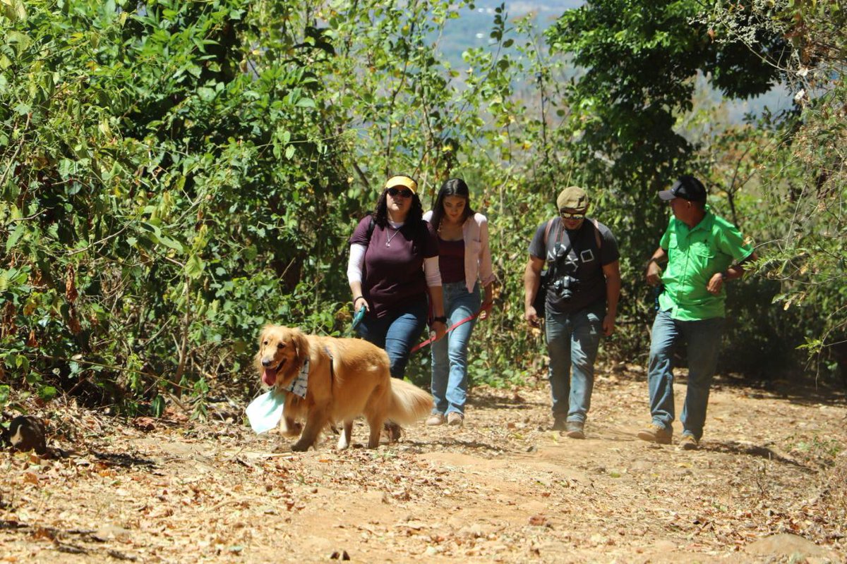 ESATravelSV's tweet photo. ¡Este día se llevó a cabo el primer #TuriPet en Guazapa! Un recorrido divertido y lleno de energía en medio naturaleza.
#LleváTuFindeAfuera #PerriTurismo
🐶🌳 https://t.co/gjARqpan4b