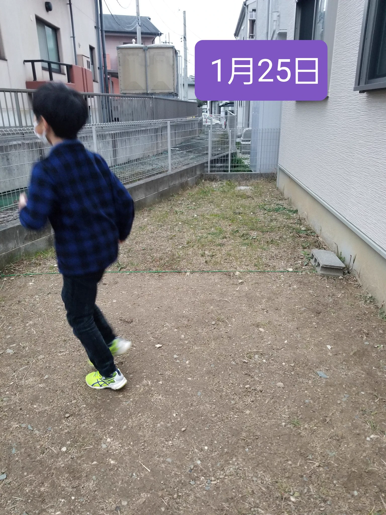 雑草全滅大作戦！？毎日庭を走った結果…。雑草がなくなったwww