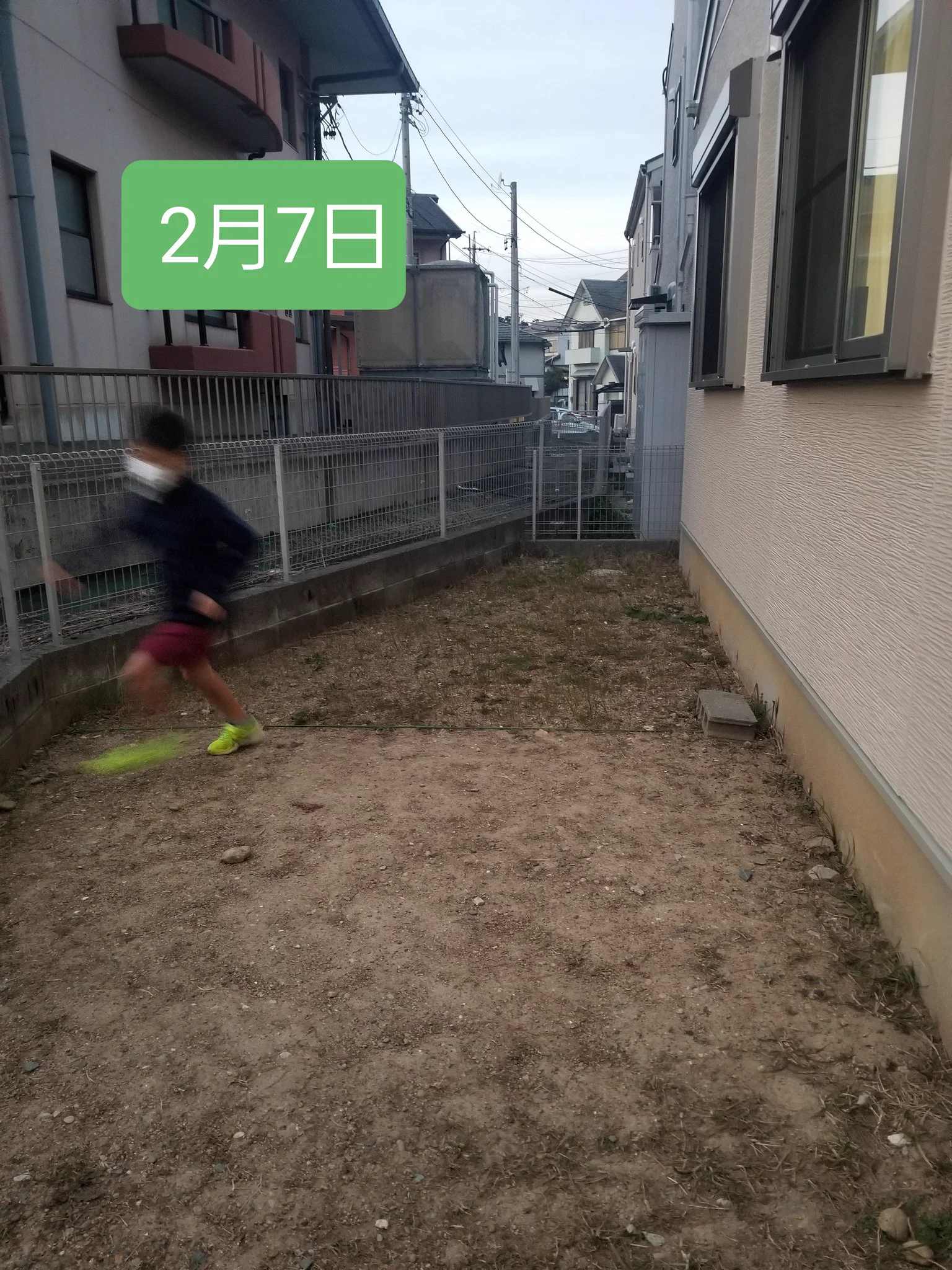 雑草全滅大作戦！？毎日庭を走った結果…。雑草がなくなったwww