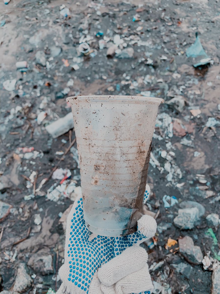 Mery Sackmann tweet media