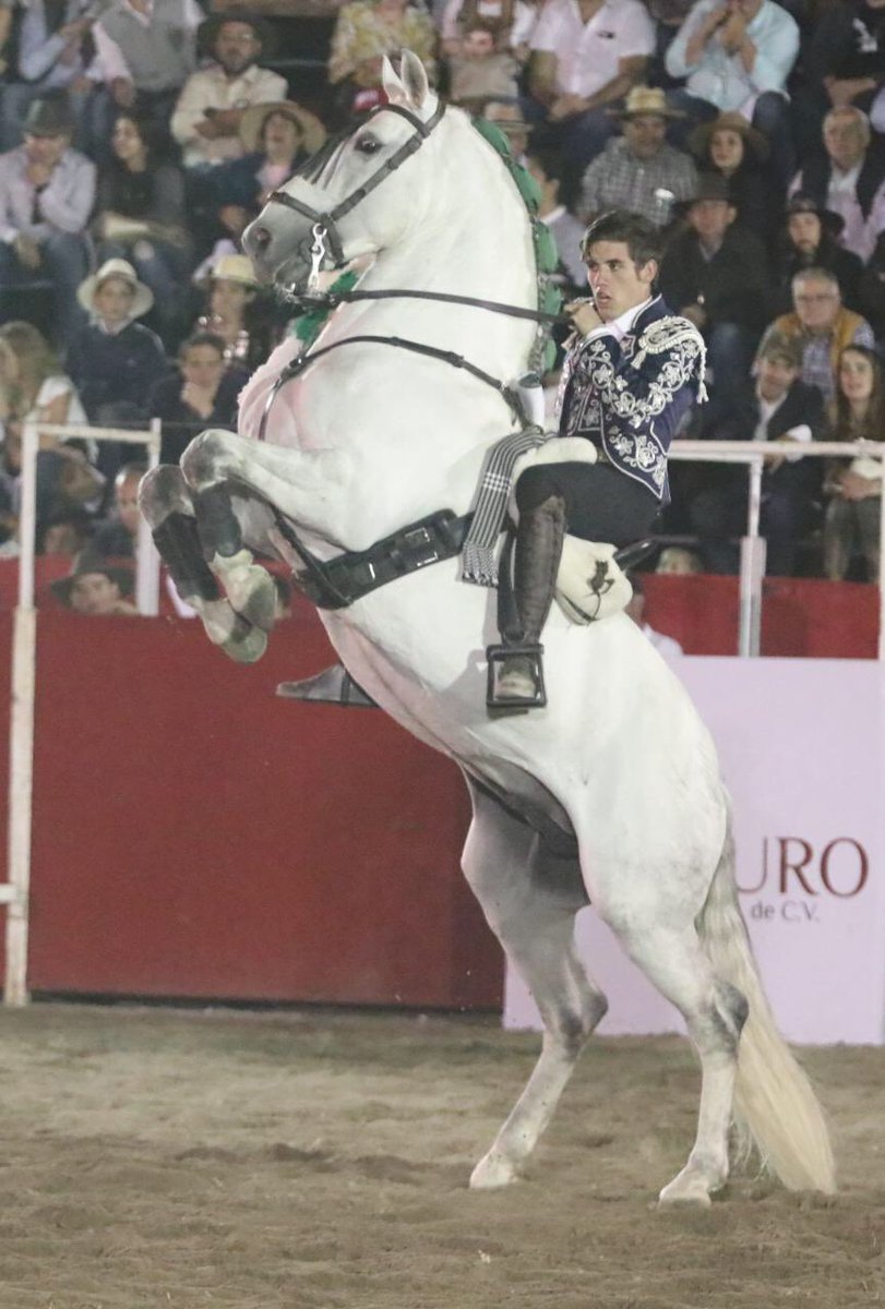 ProTauro_'s tweet photo. Guillermo Hermoso | 5to. Festejo Taurino Ecuestre Dos orejas al cierraplaza de Juan Huerta que recibió vuelta al ruedo, Guillermo invitó a los ganaderos a dar la vuelta con él. https://t.co/PTk0VHlrHl