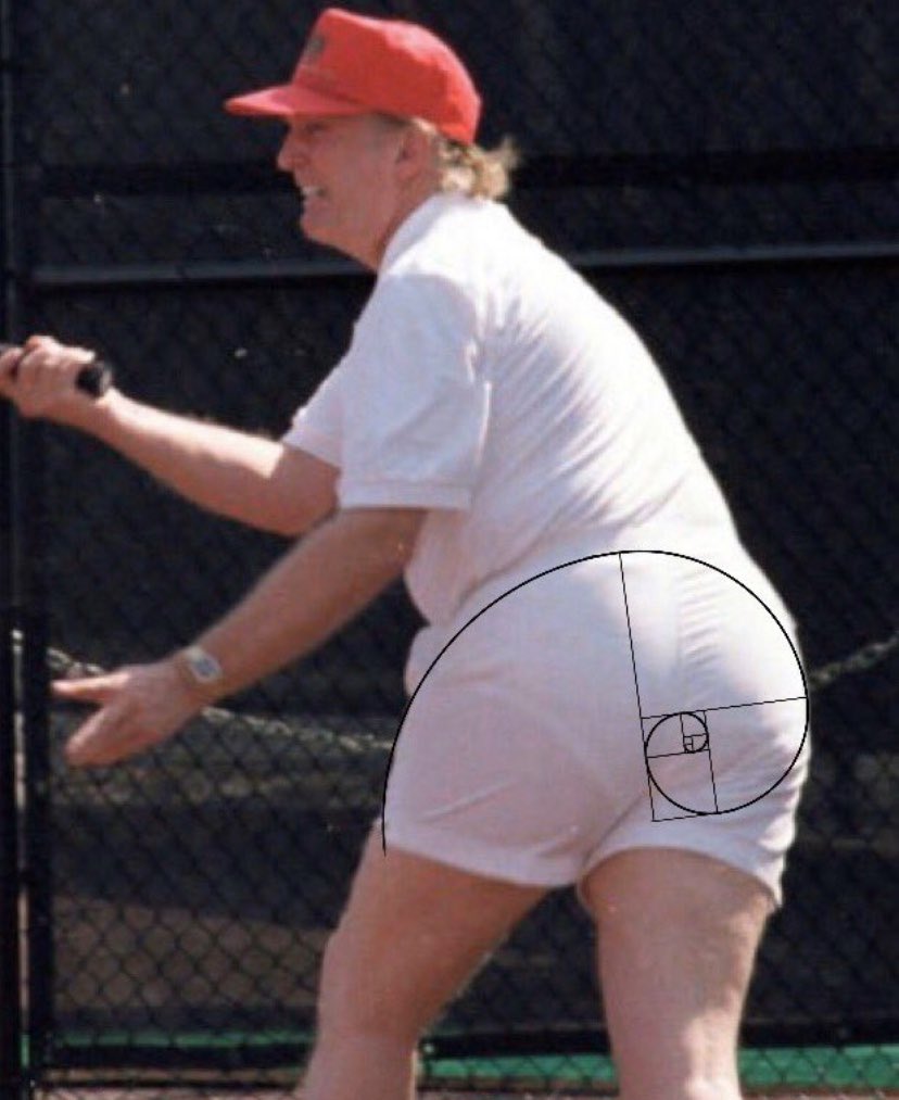 FlimfloomNFT's tweet photo. The Golden Ratio https://t.co/Ds88Q2275O