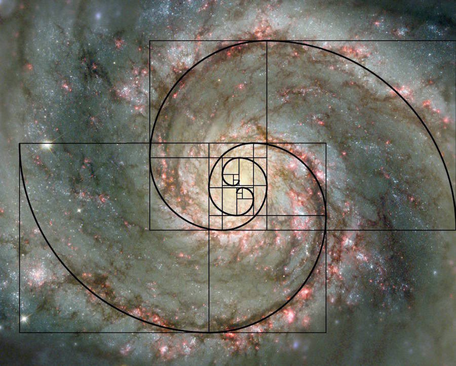 FlimfloomNFT's tweet photo. The Golden Ratio https://t.co/Ds88Q2275O
