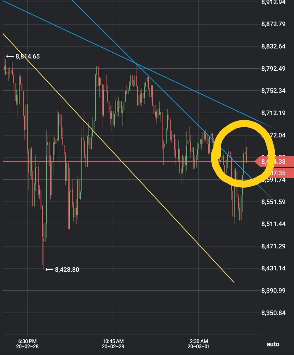 Trading Bitcoin Forex Stocks tweet media