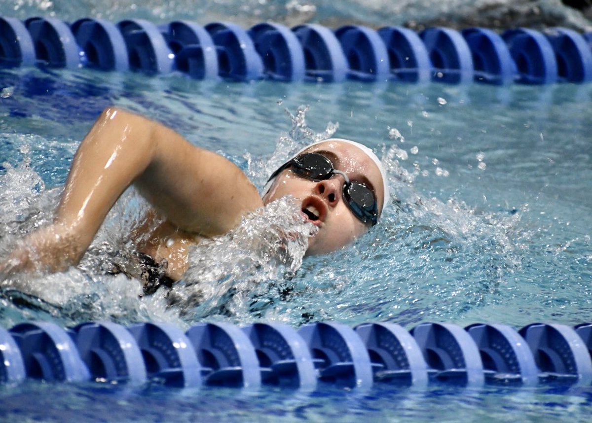 St. Marks Swimming tweet media