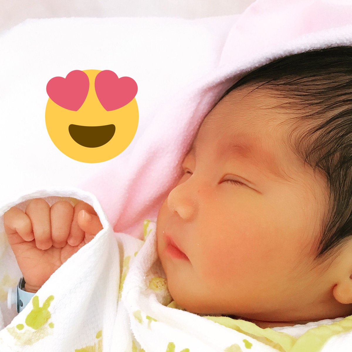 w_d_t_t's tweet photo. 可愛いなあぁん https://t.co/XNfOOGWhFH