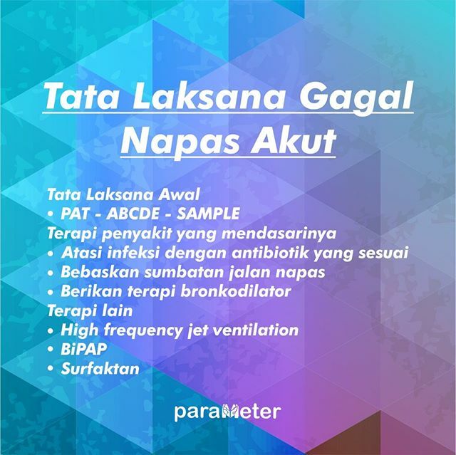 parameterID's tweet image. Hampir 50% pasien yang masuk ruang pelayanan intensif anak yaitu pasien yang gagal napas akut dan merupakan penyebab henti napas paling sering pada anak.Ada empat kelainan utama pada gagal napas akut, yaitu tatalaksana awal, terapi penyakit yang mendasar… ift.tt/38dwBtj