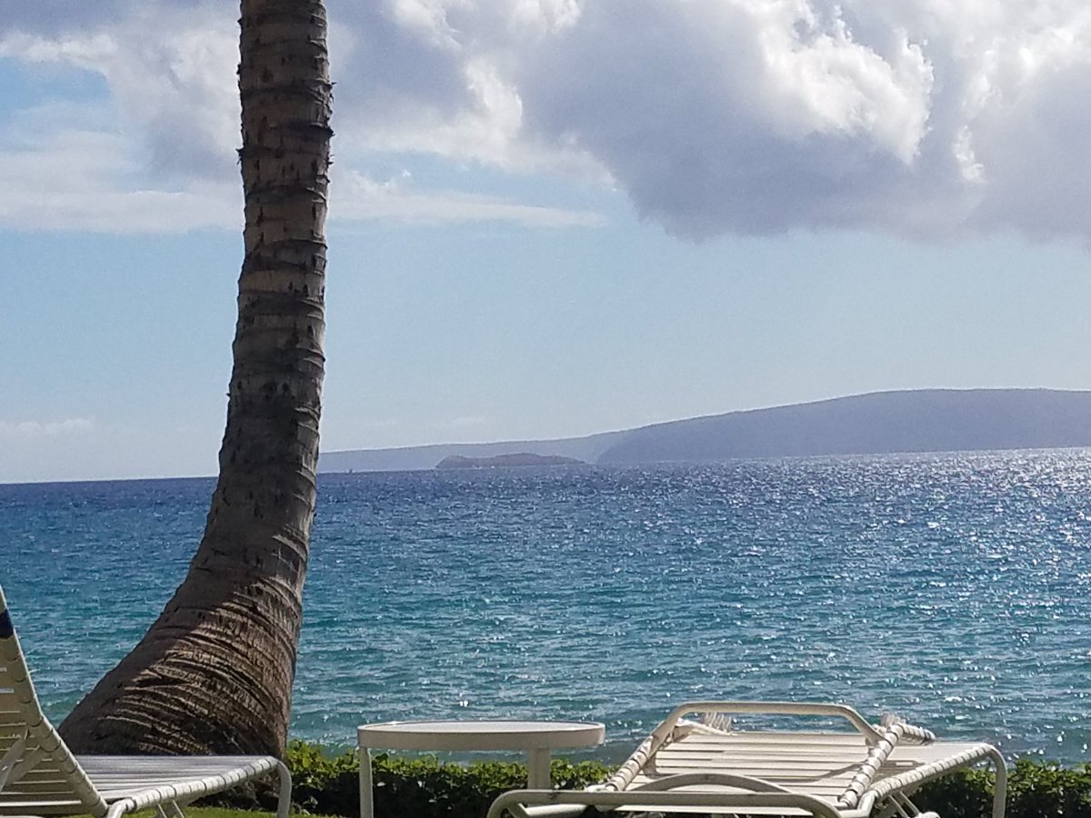 ThoughtQuantum's tweet photo. On vacation, finally getting to my important reading. It's good!  @IndivisibleTeam #IndivisibleBook https://t.co/P3puvI00uU
