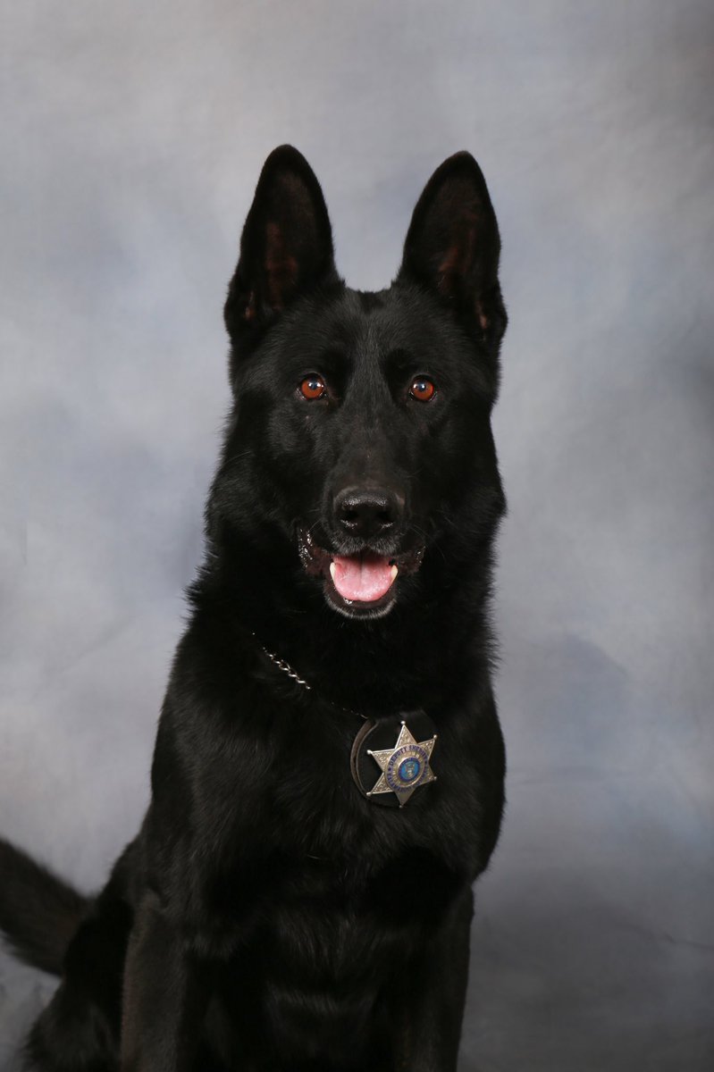 Zeus 2020! Great team mate.